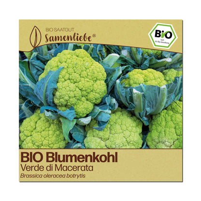 BIO Blumenkohl "Verde di Macerata"