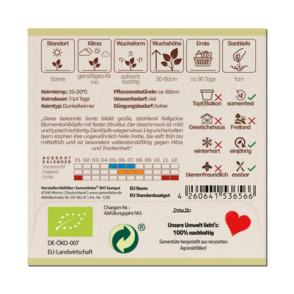 BIO Blumenkohl "Verde di Macerata"