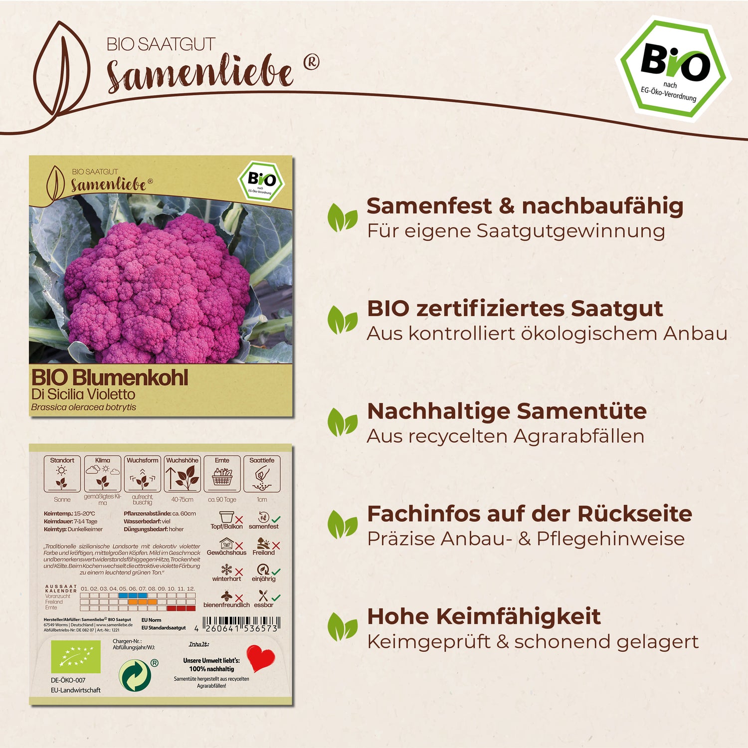 BIO Blumenkohl "Di Sicilia Violetto"