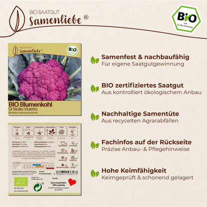 BIO Blumenkohl "Di Sicilia Violetto"
