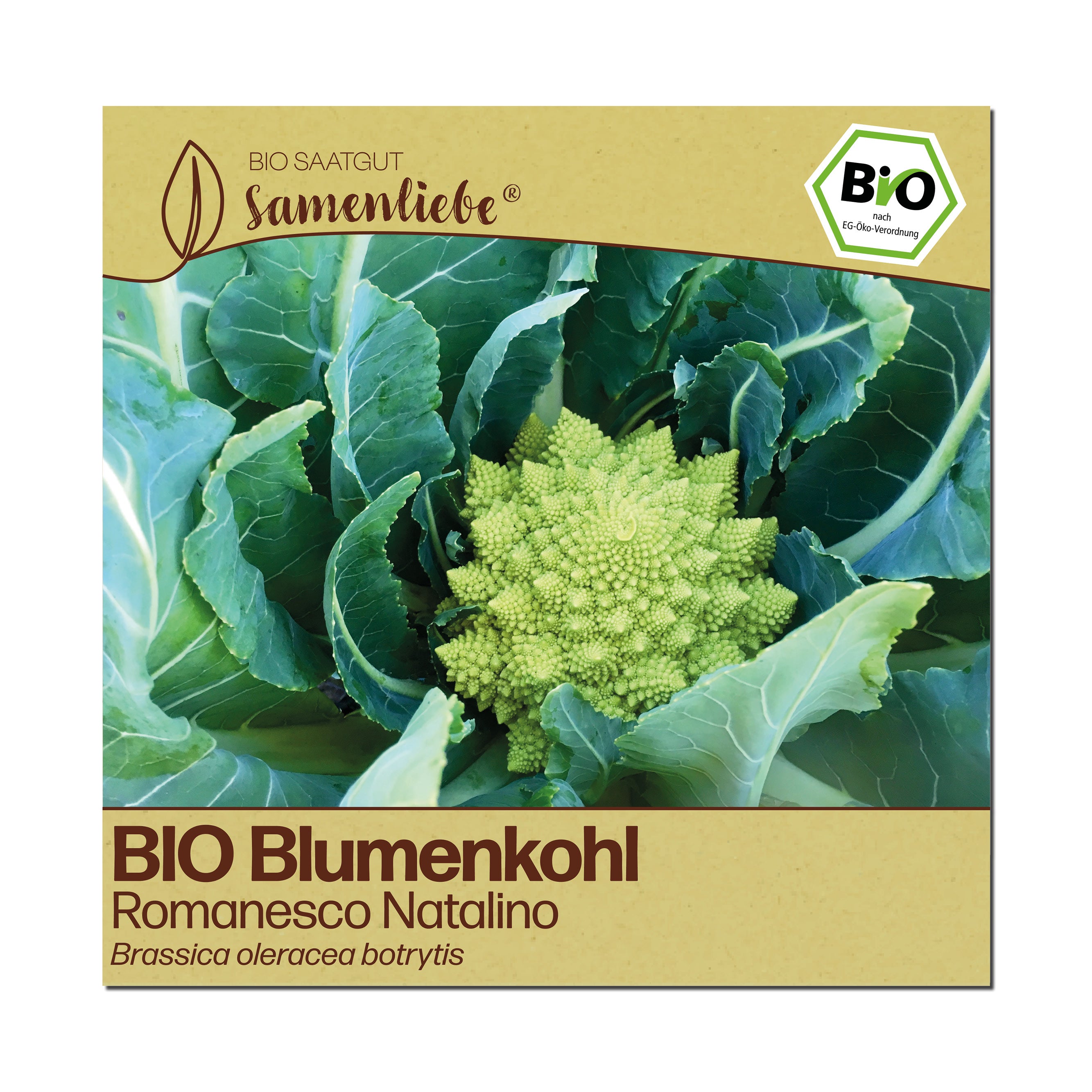 BIO Blumenkohl "Romanesco Natalino"