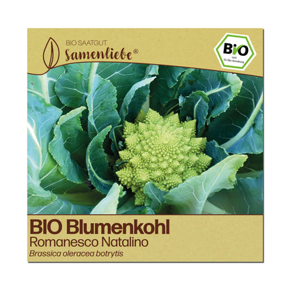 BIO Blumenkohl "Romanesco Natalino"