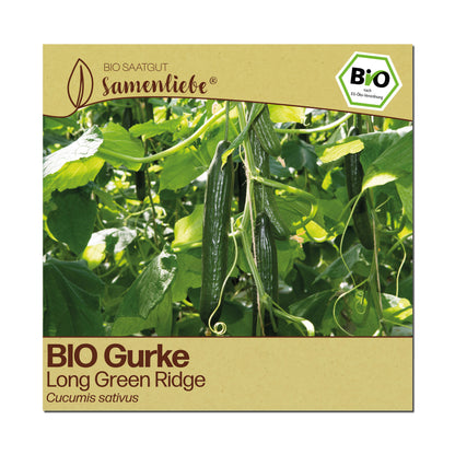 BIO Gurke "Long Green Ridge"