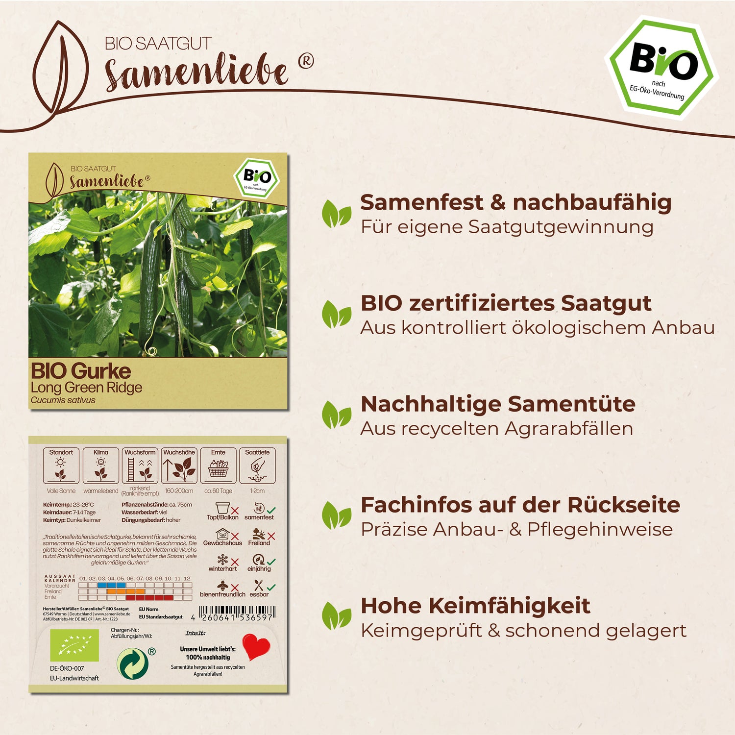 BIO Gurke "Long Green Ridge"