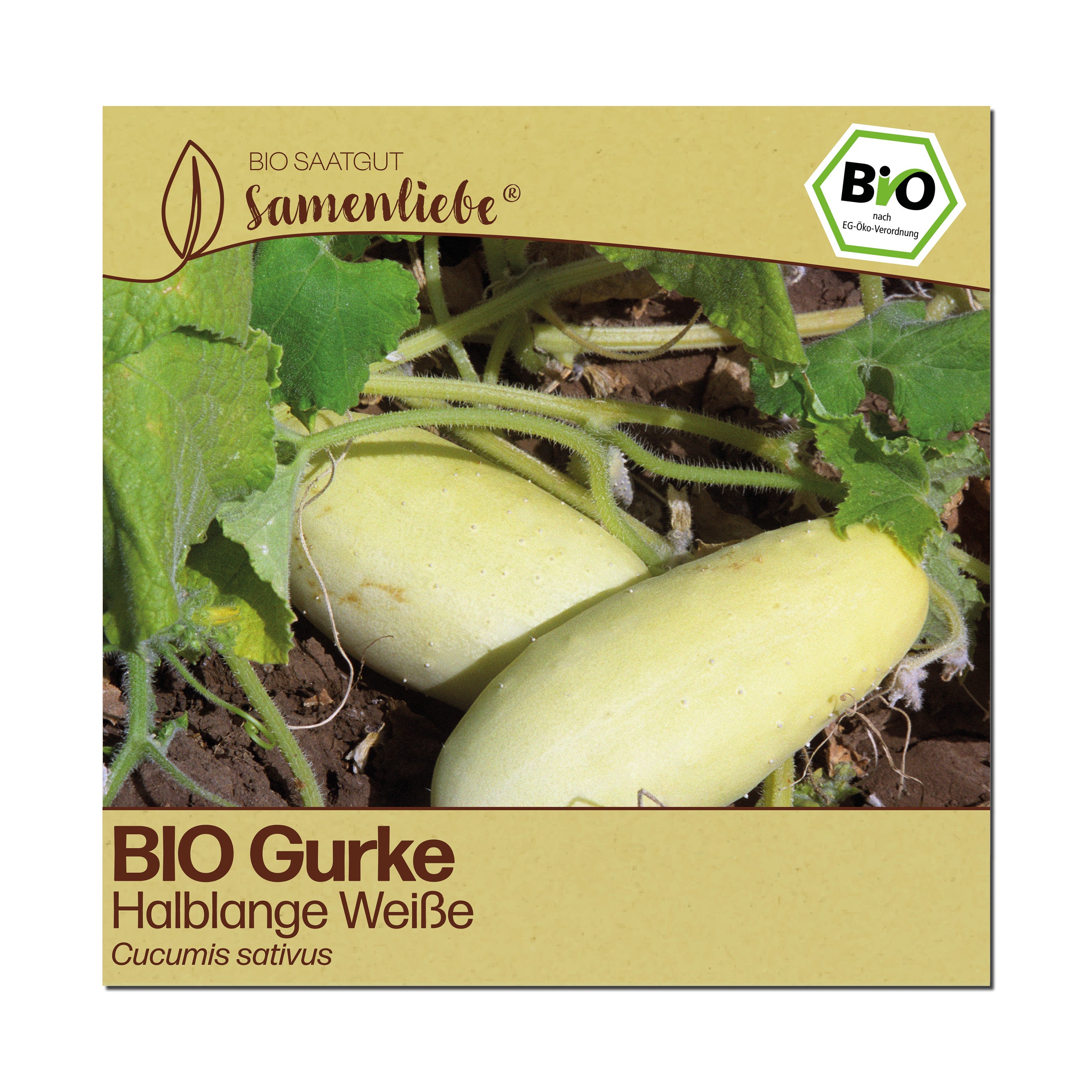 BIO Gurke "Halblange Weiße"