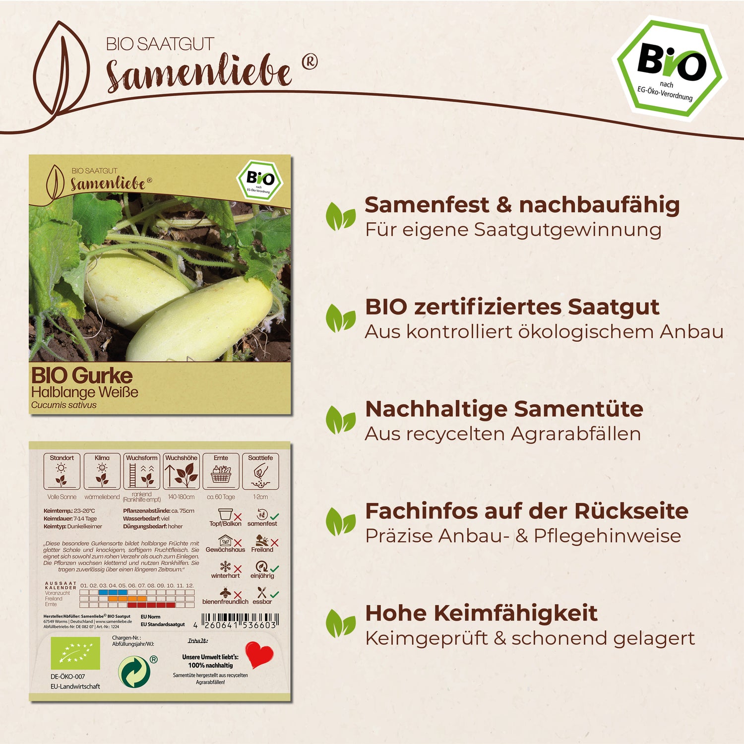 BIO Gurke "Halblange Weiße"