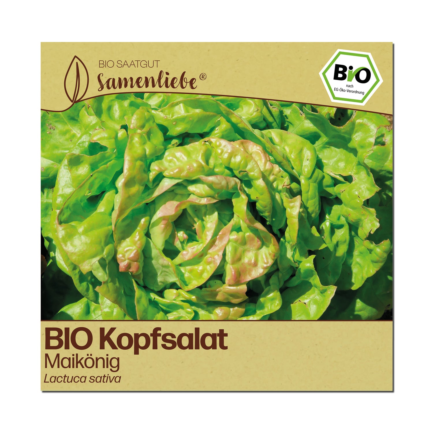 BIO Salat "Maikönig"