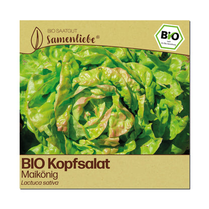 BIO Salat "Maikönig"