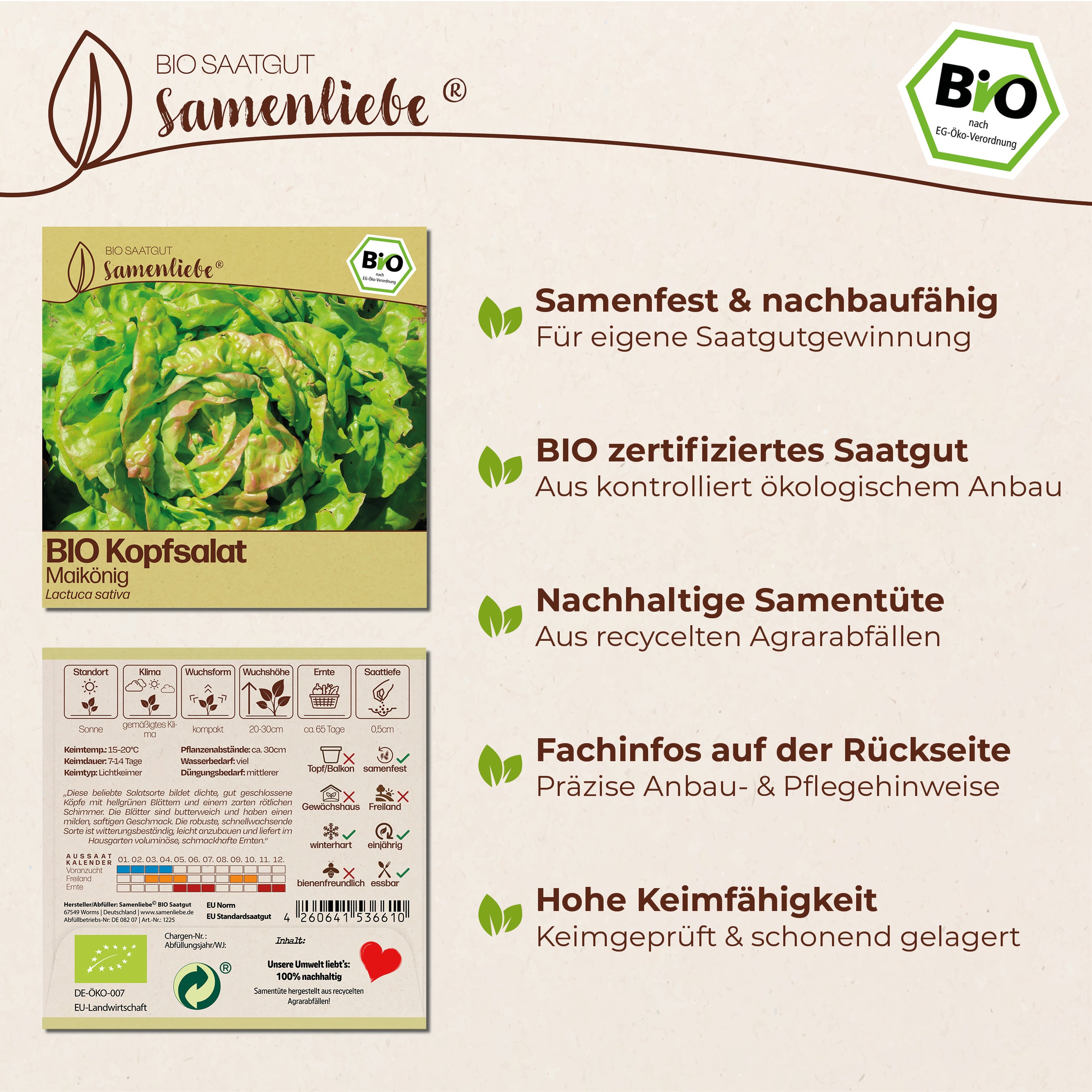 BIO Salat "Maikönig"