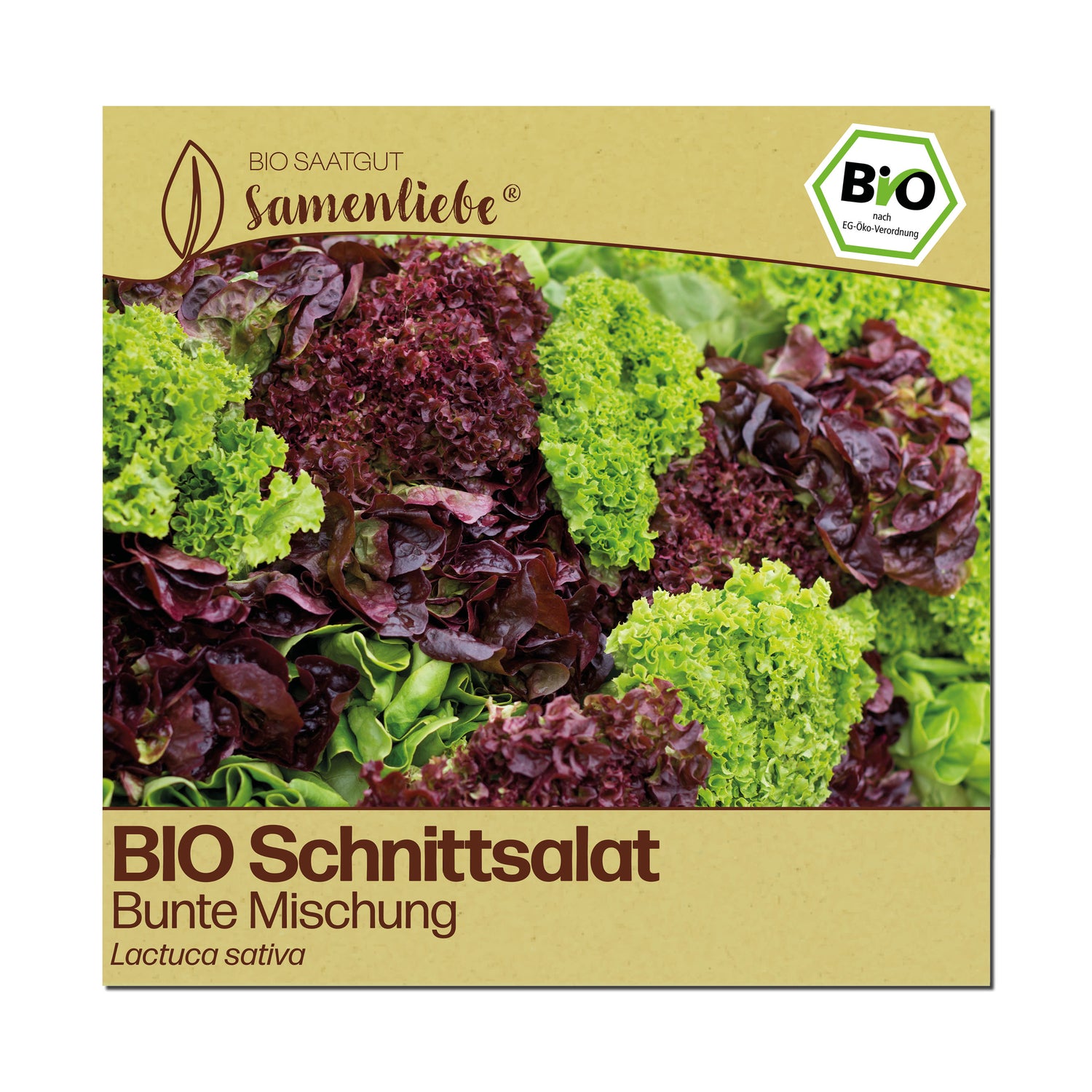 BIO Salat "Bunte Mischung"