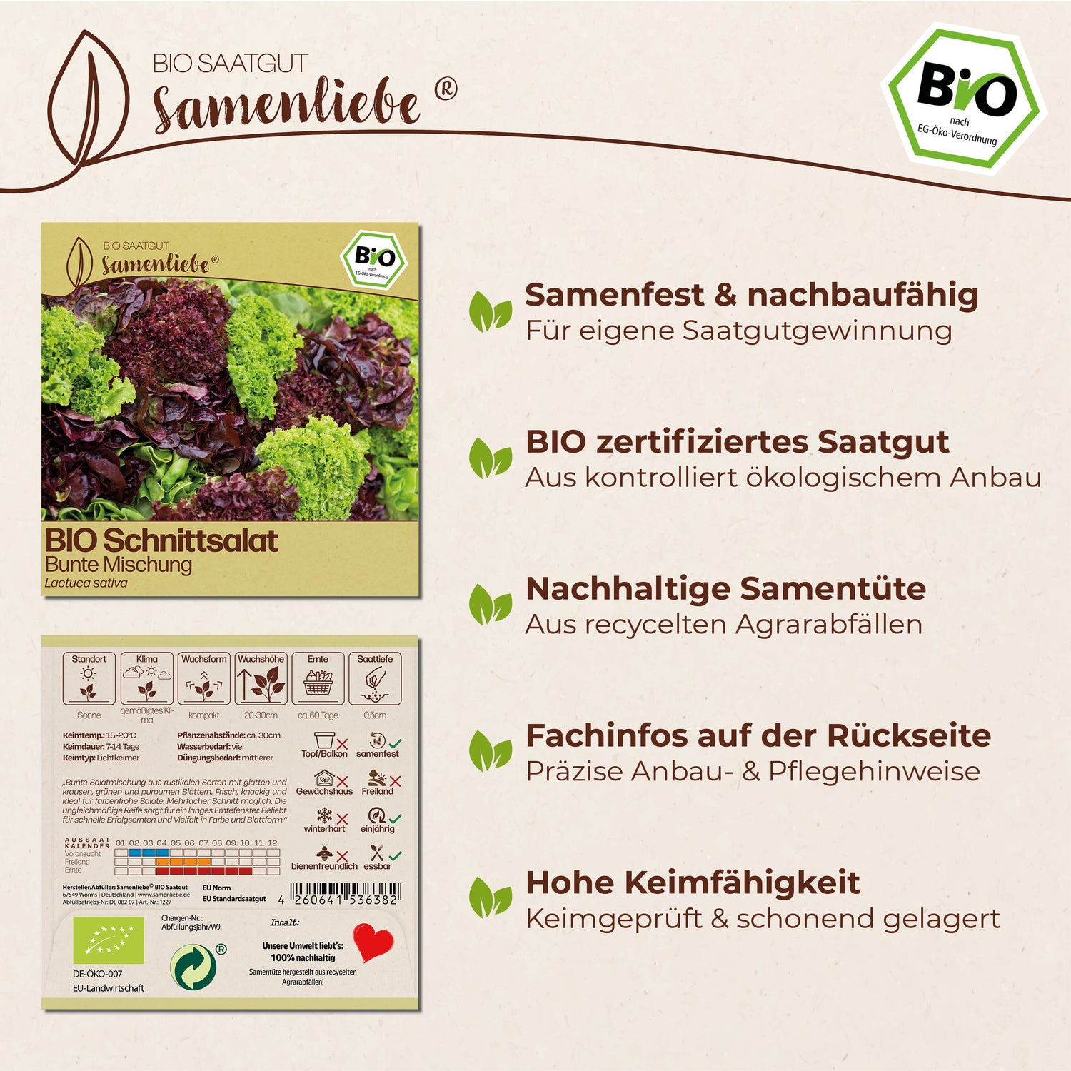 BIO Salat "Bunte Mischung"