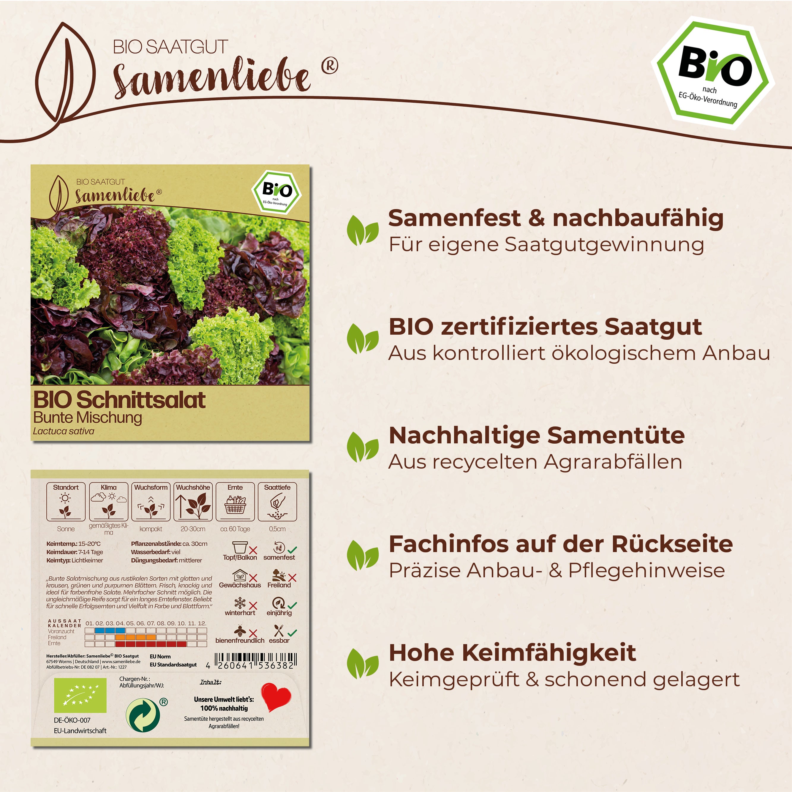 BIO Salat "Bunte Mischung"