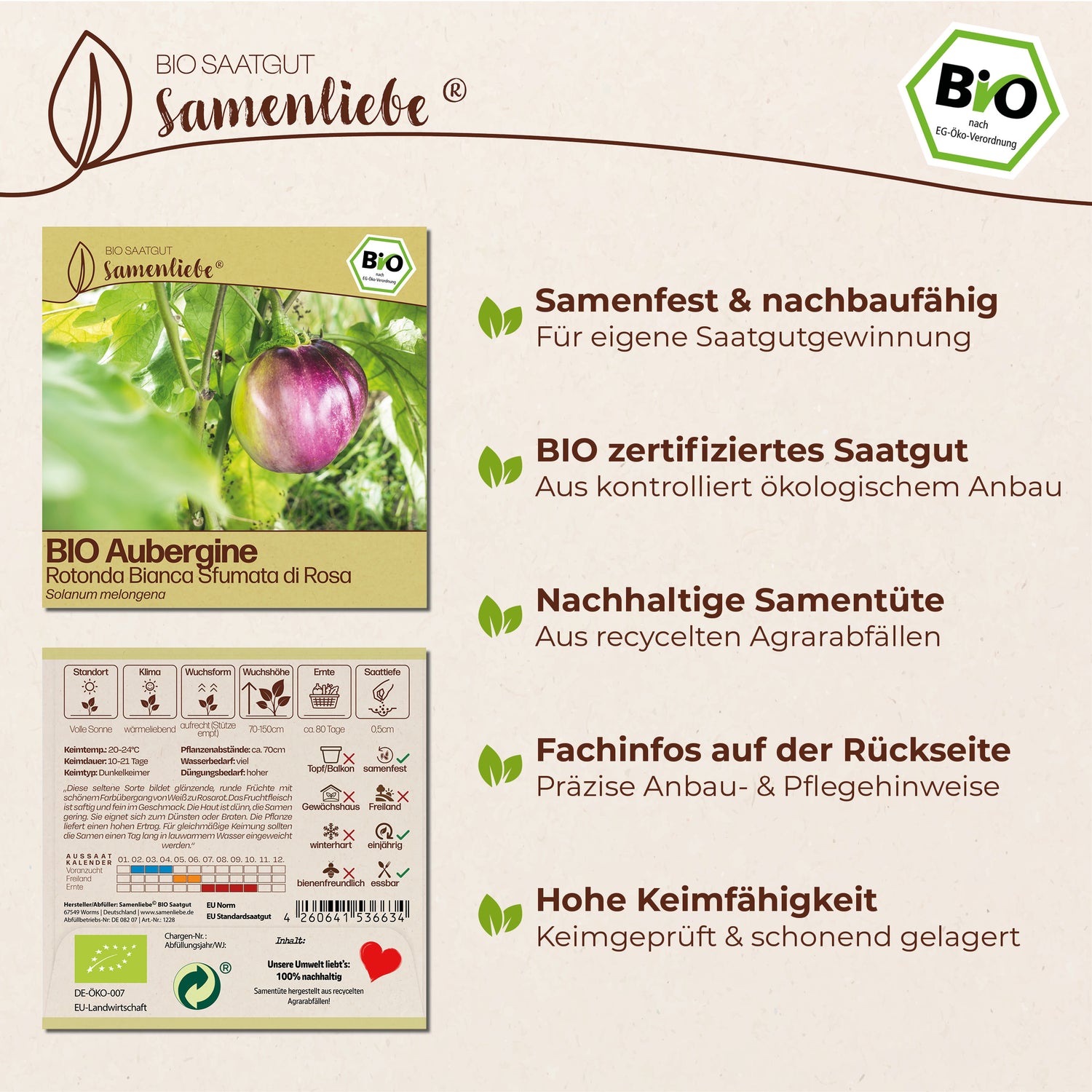 BIO Aubergine "Rotonda Bianca Sfumata di Rosa"