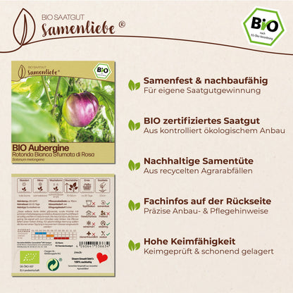 BIO Aubergine "Rotonda Bianca Sfumata di Rosa"