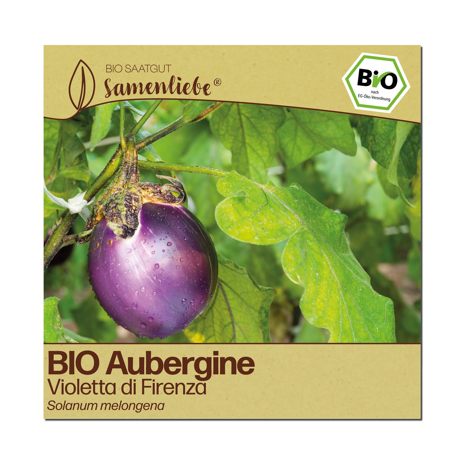 BIO Aubergine "Violetta di Firenza"