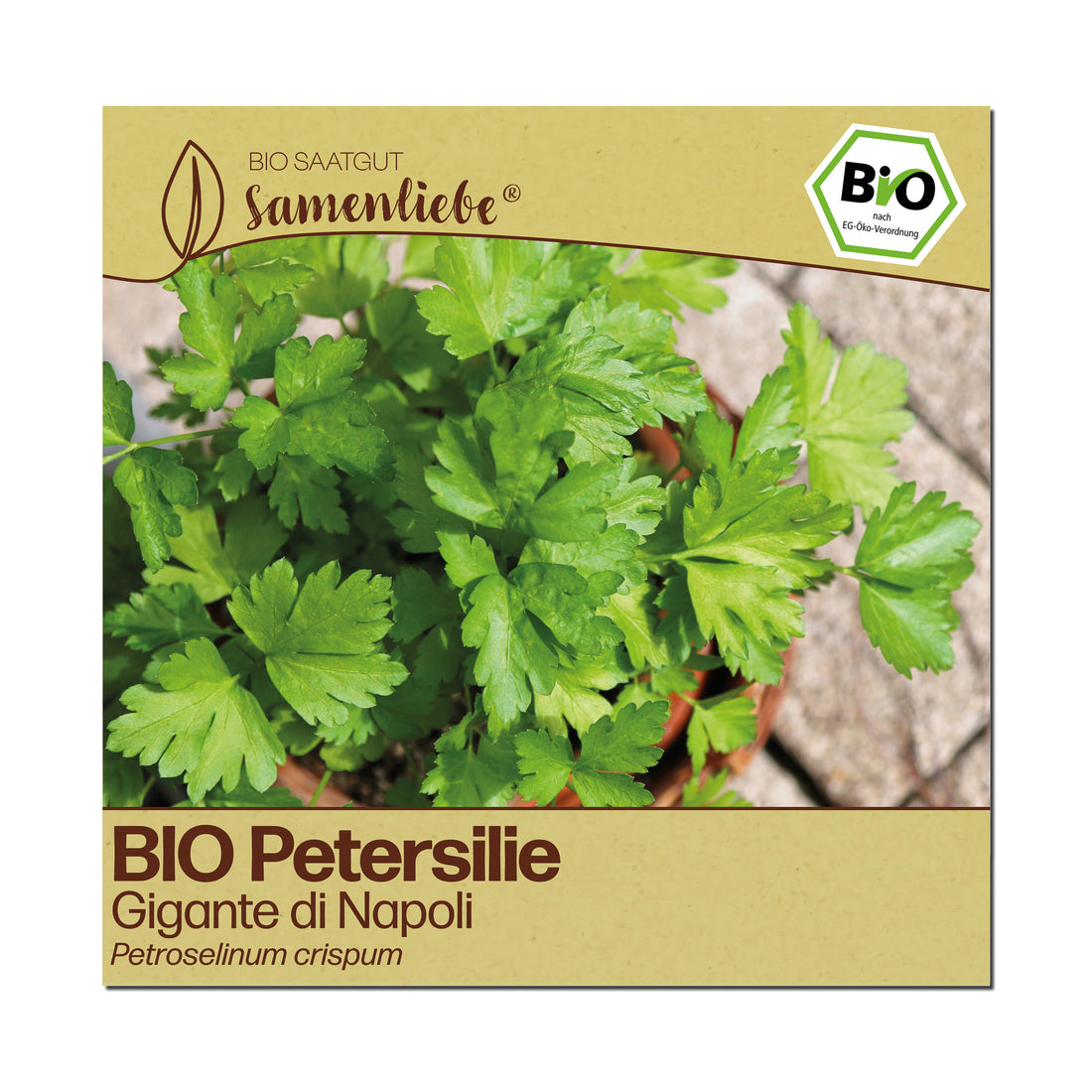 BIO Petersilie "Gigante di Napoli"