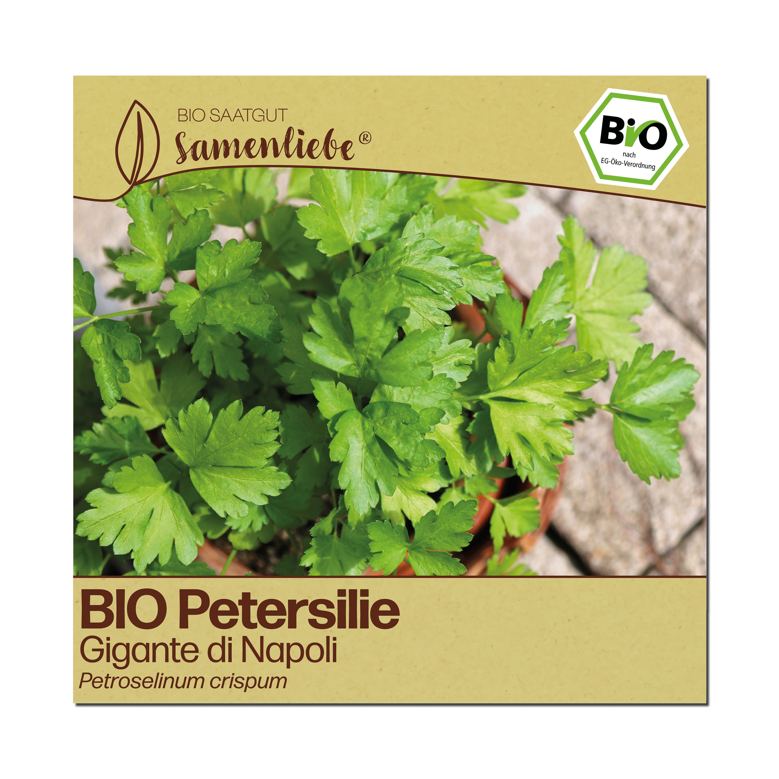 BIO Petersilie "Gigante di Napoli"