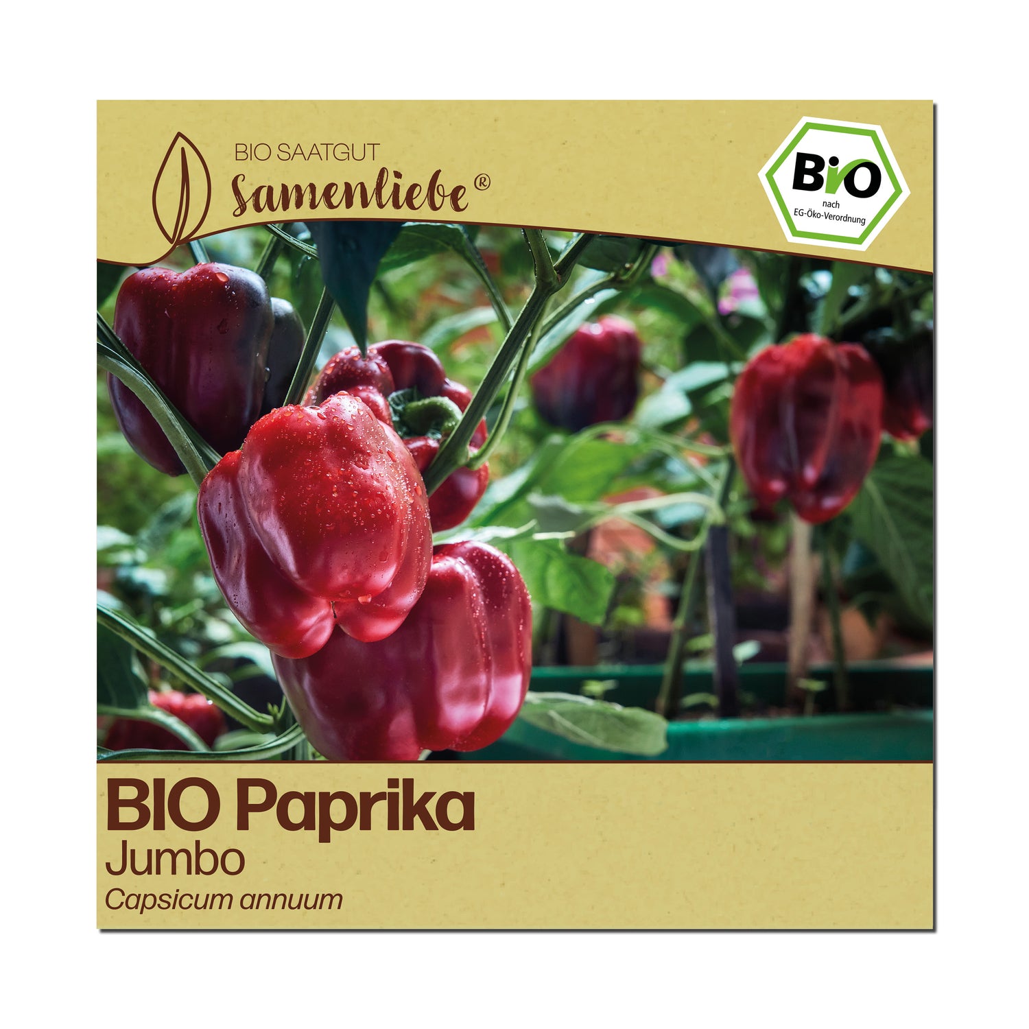 BIO Paprika "Jumbo"