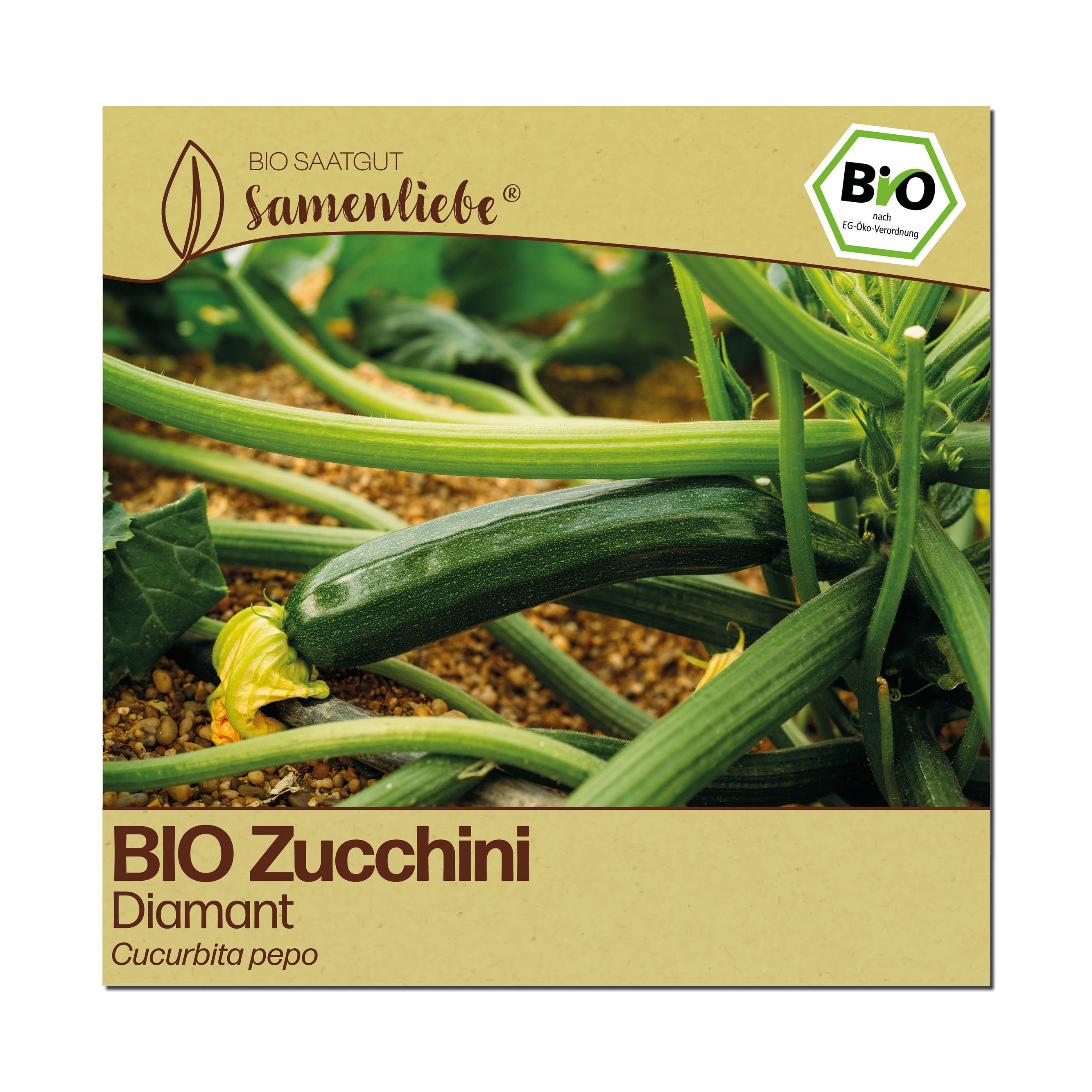 BIO Zucchini "Diamant"