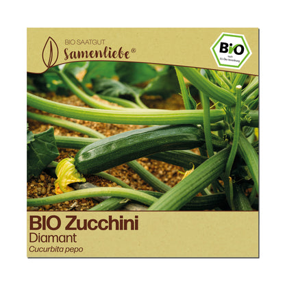 BIO Zucchini "Diamant"