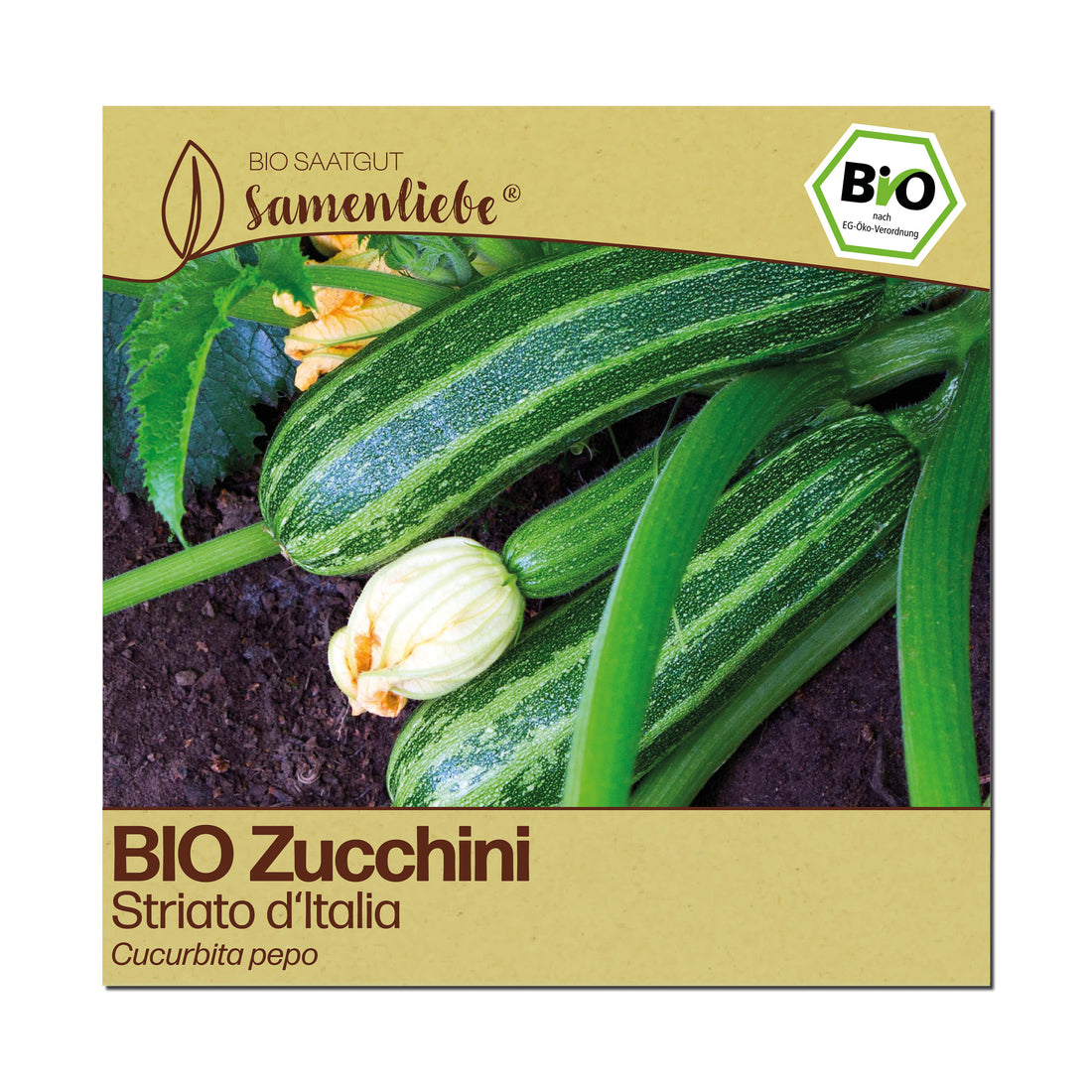 BIO Zucchini "Striato d&