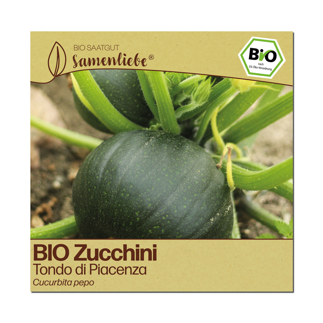 BIO Zucchini "Tondo di Piacenza"
