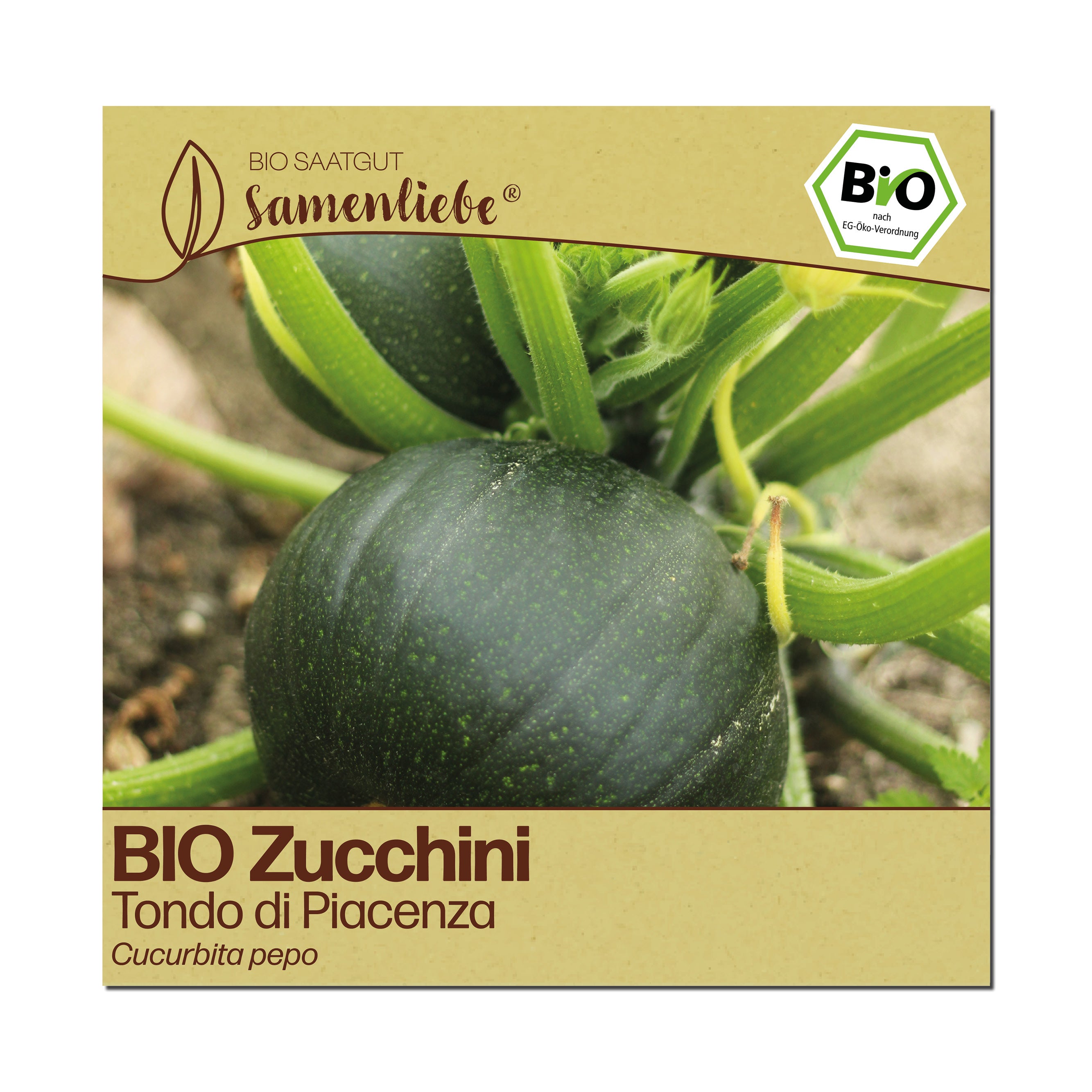 BIO Zucchini "Tondo di Piacenza"