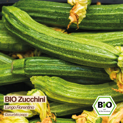 BIO Zucchini "Lungo Fiorentino"