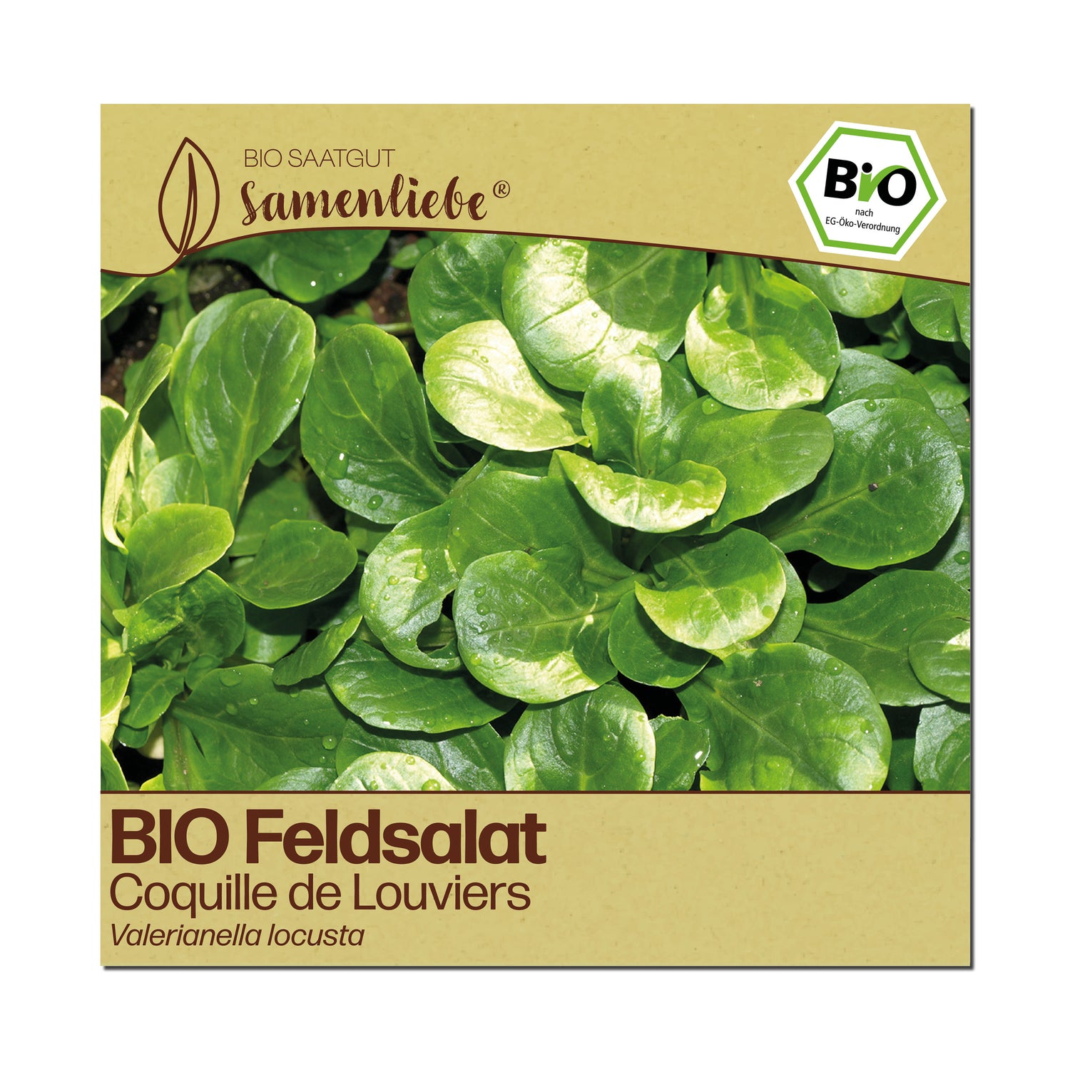 BIO Feldsalat "Coquille de Louviers"