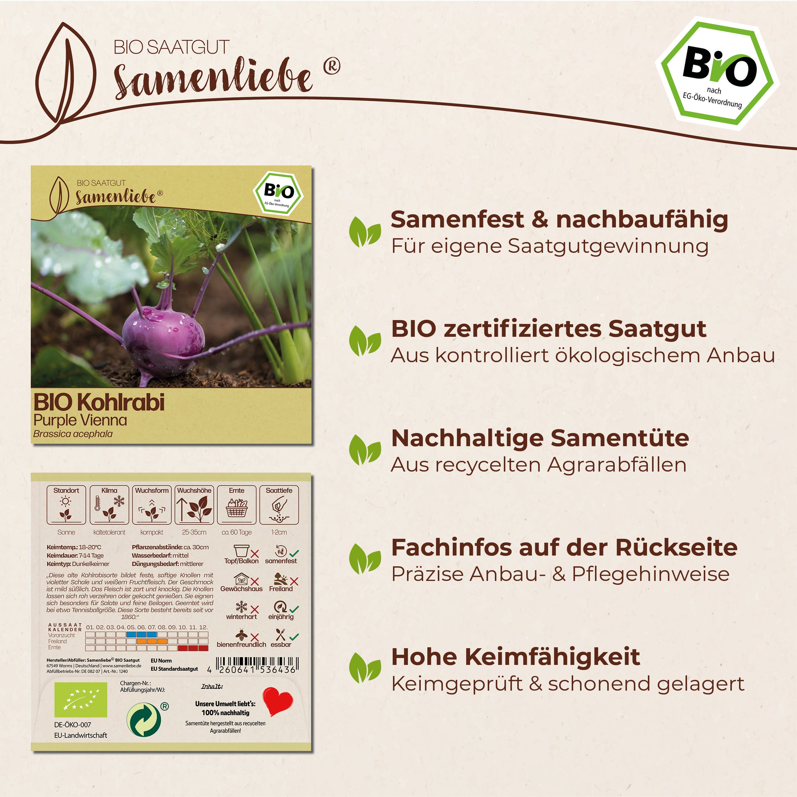 BIO Kohlrabi "Purple Vienna"