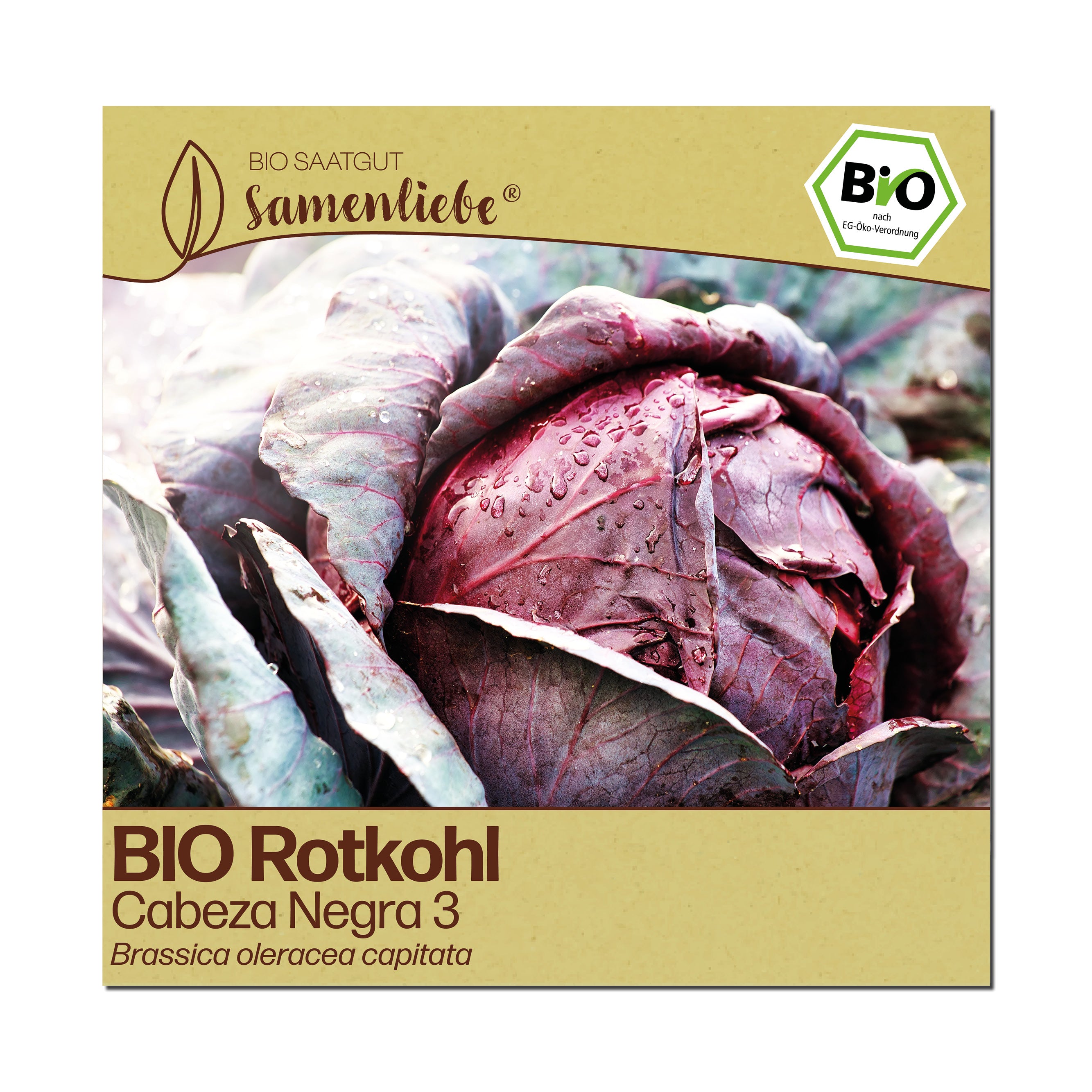 BIO Kohl "Cabeza Negra 3"