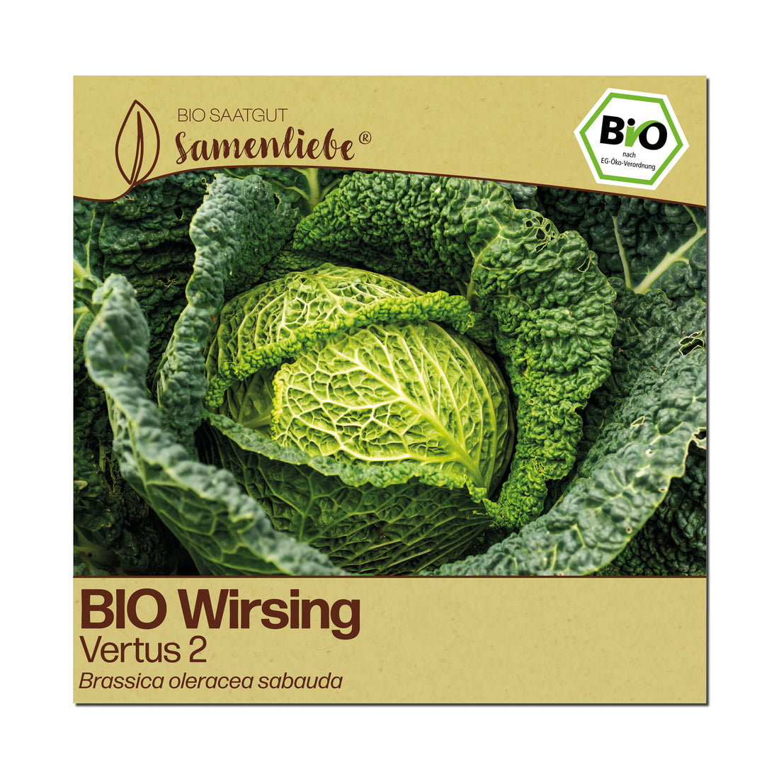 BIO Wirsing "Vertus 2"