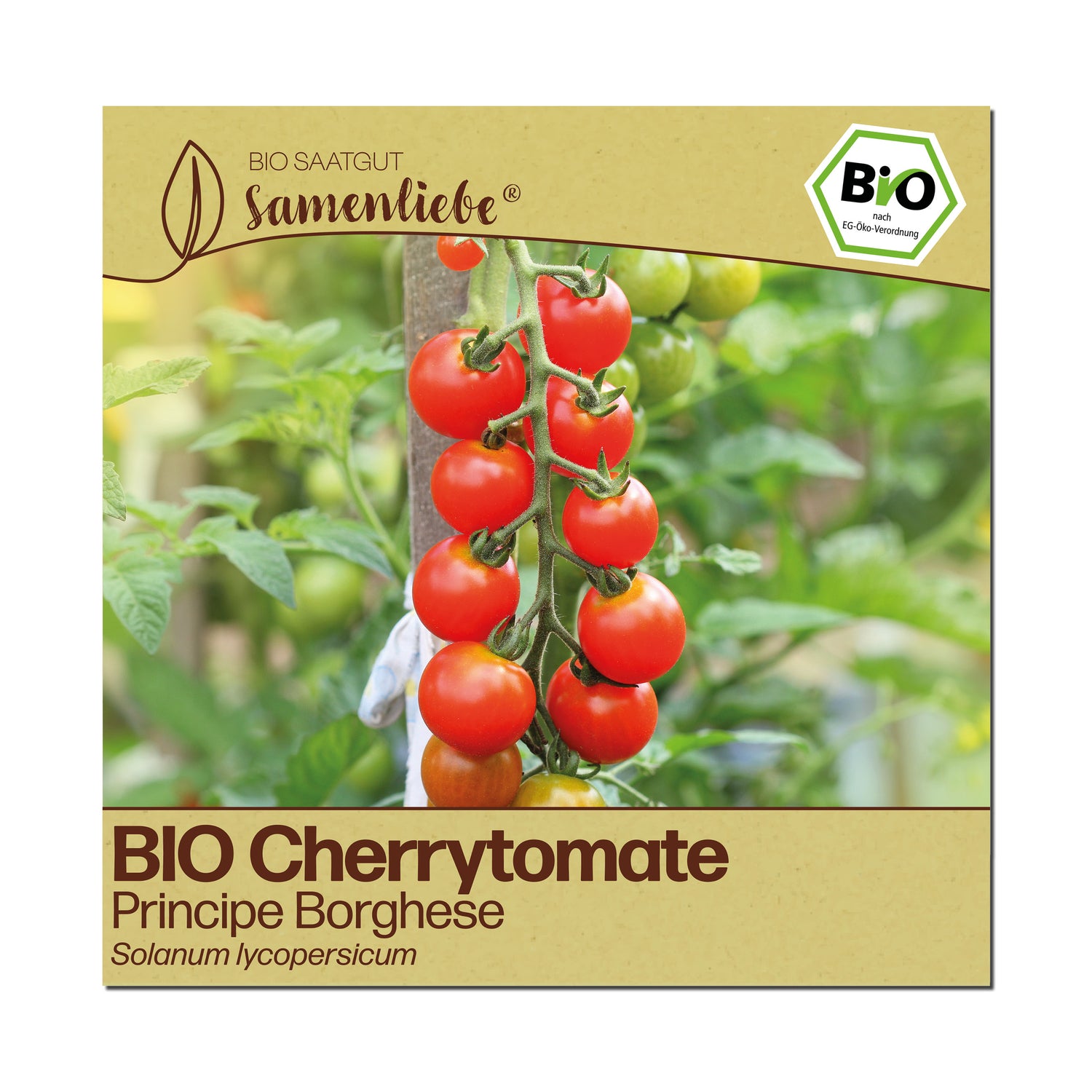 BIO Tomate "Principe Borghese"