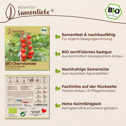 BIO Tomate "Principe Borghese"