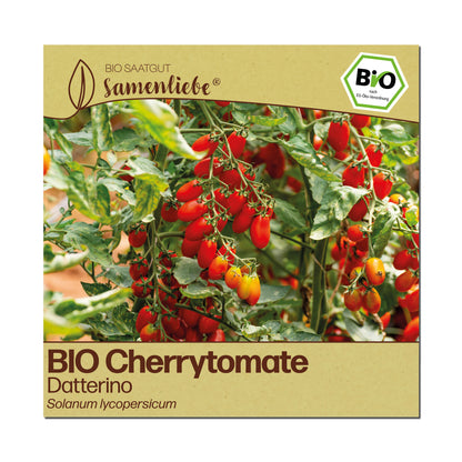 BIO Tomate "Datterino"