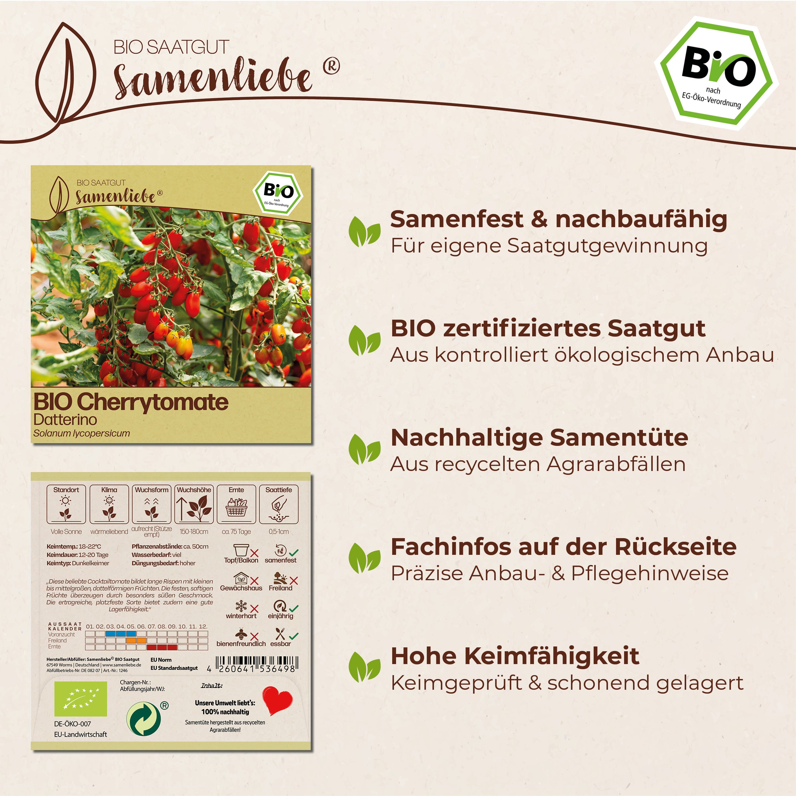 BIO Tomate "Datterino"