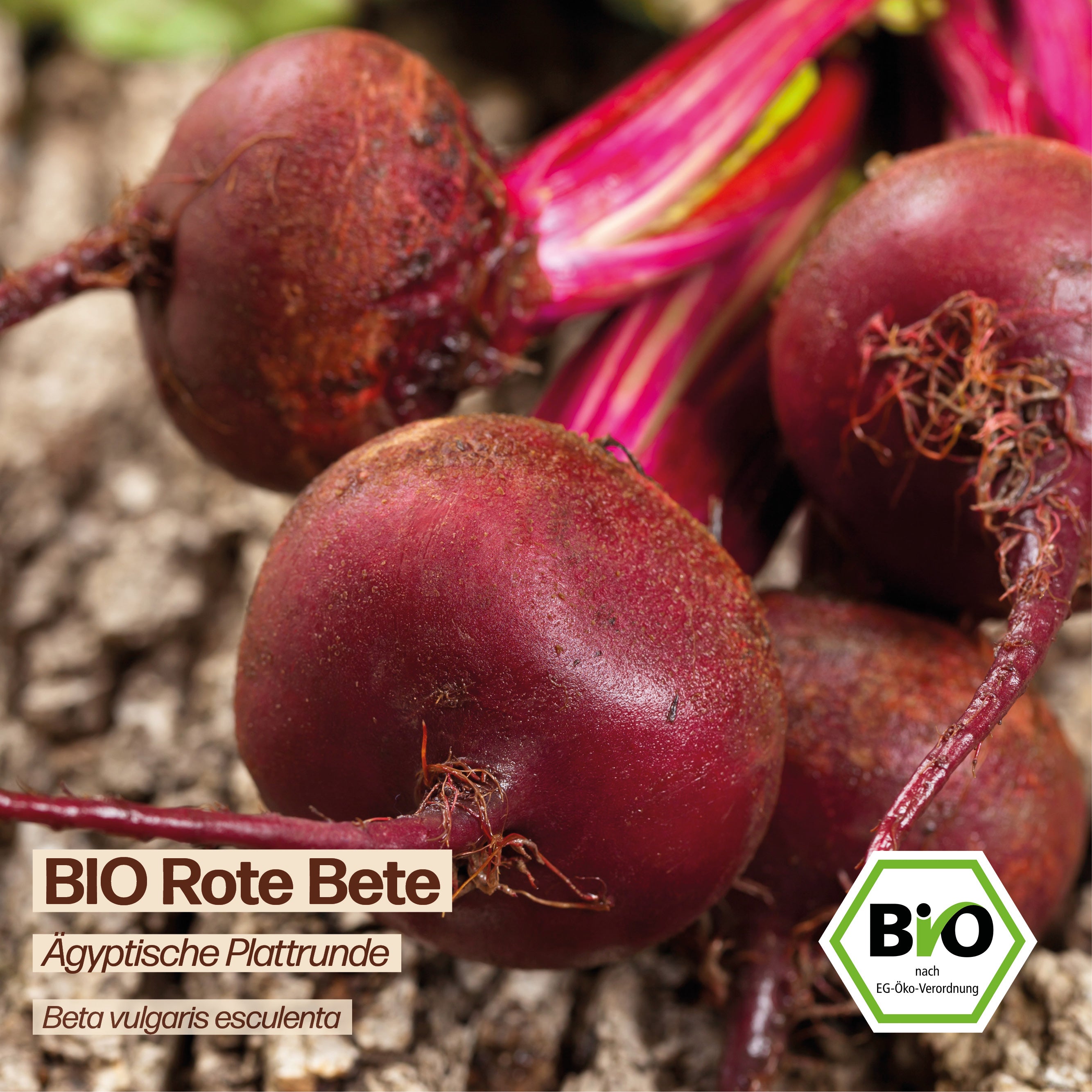 BIO Rote Bete "Ägyptische Plattrunde"