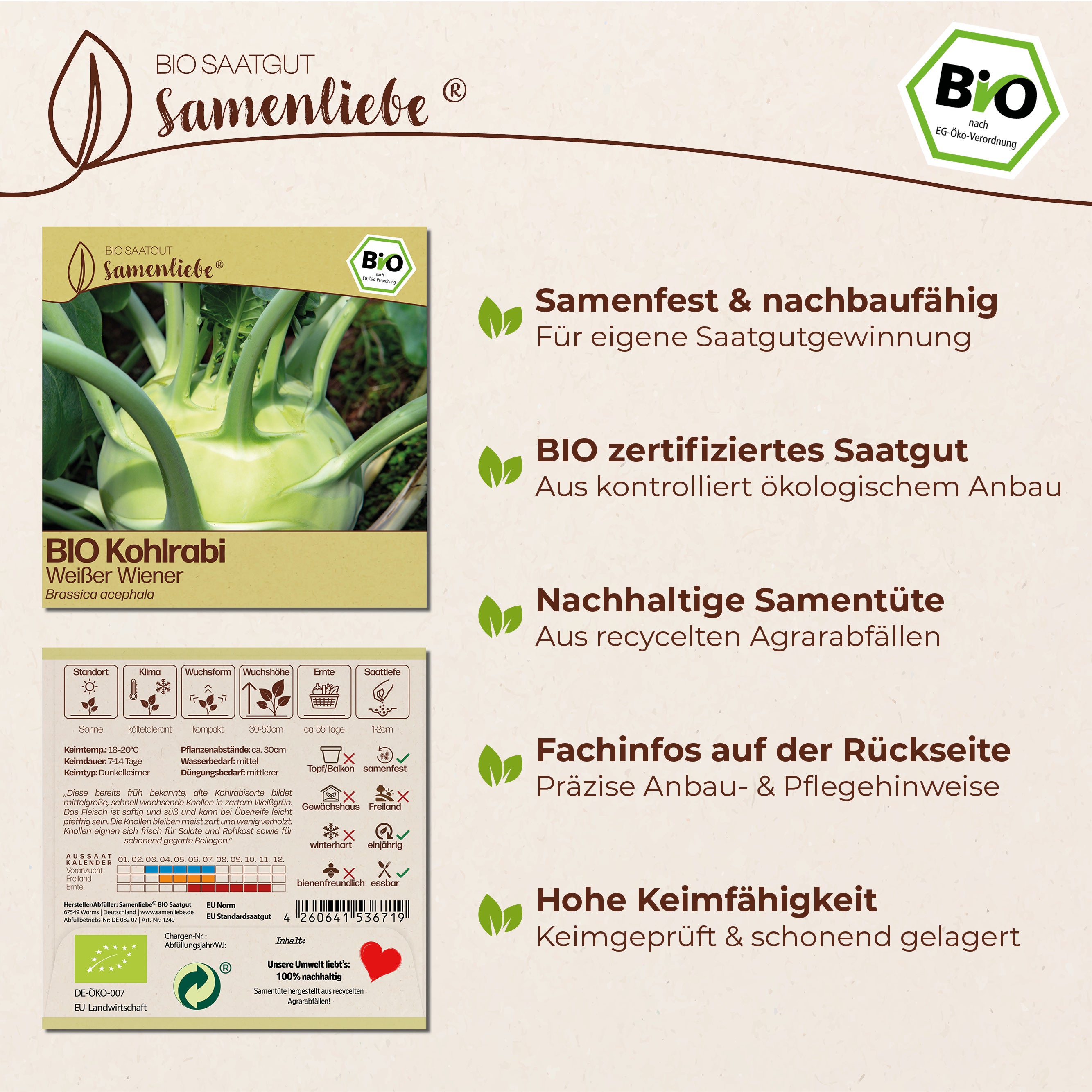 BIO Kohlrabi "Weißer Wiener"