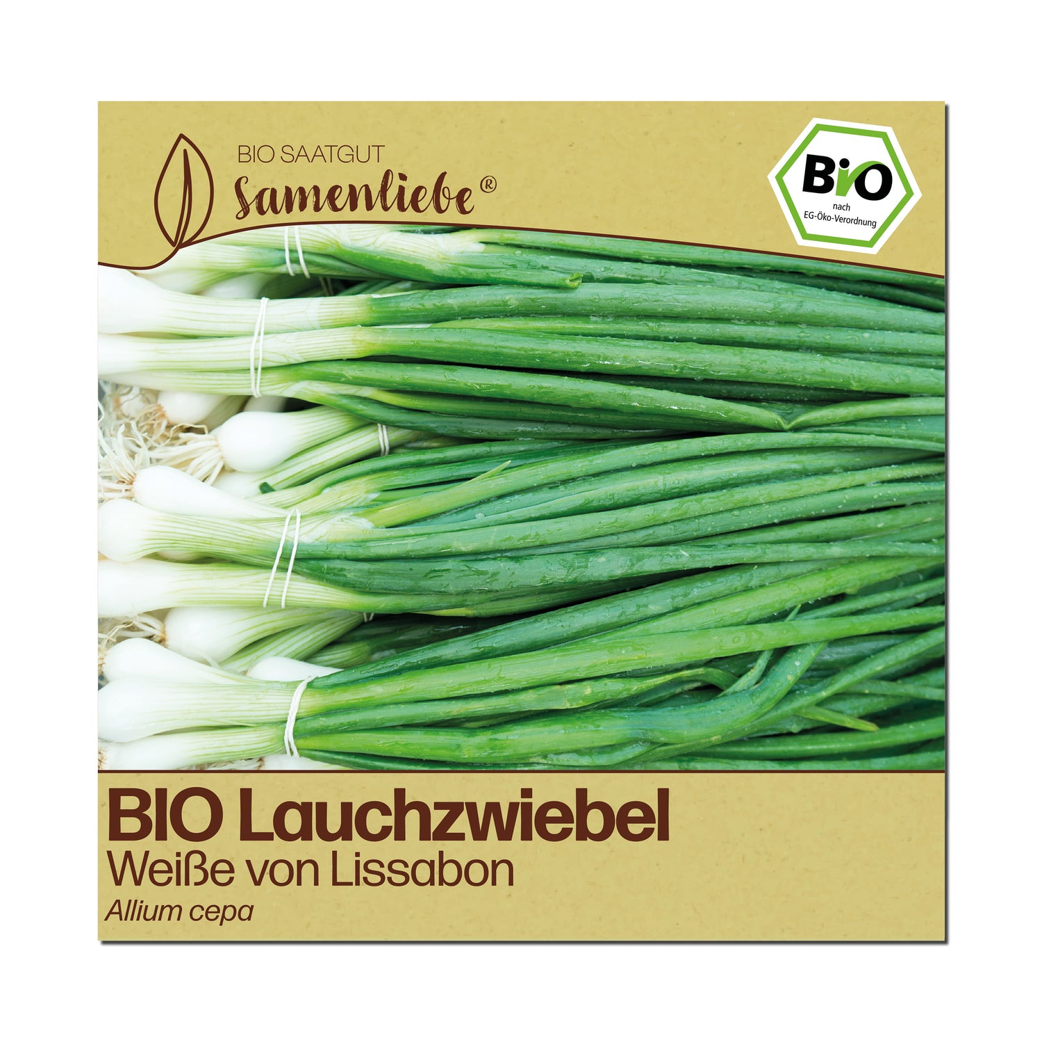 BIO Lauchzwiebel "Weiße von Lissabon"