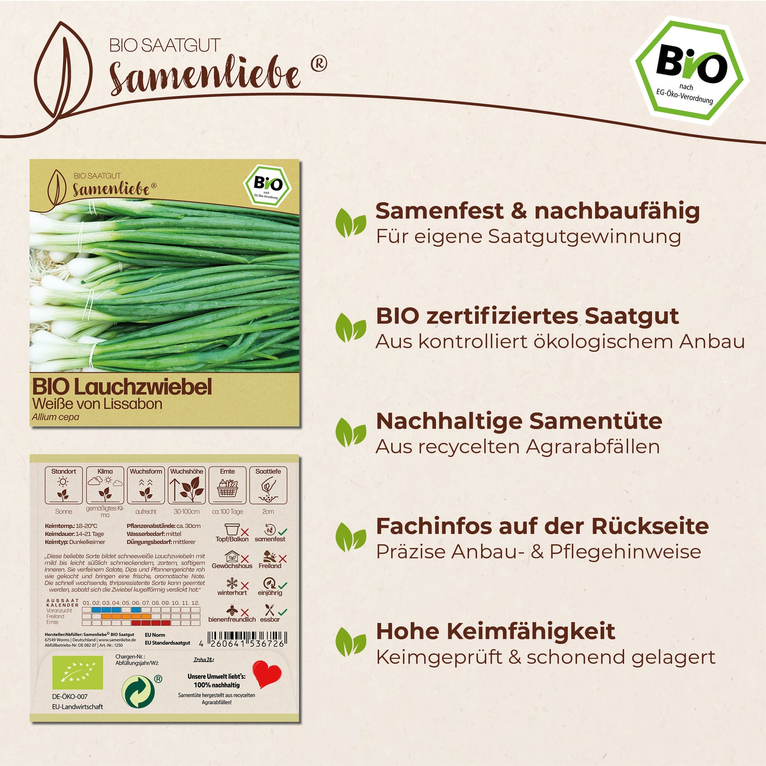 BIO Lauchzwiebel "Weiße von Lissabon"