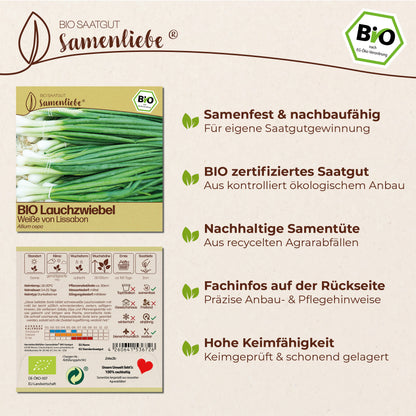 BIO Lauchzwiebel "Weiße von Lissabon"
