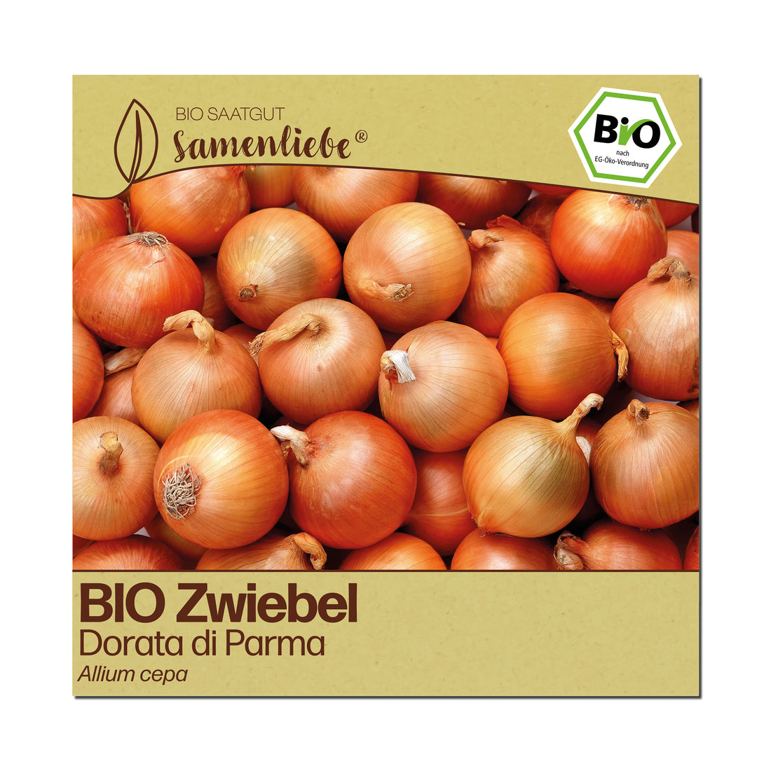 BIO Zwiebel "Dorata di Parma"