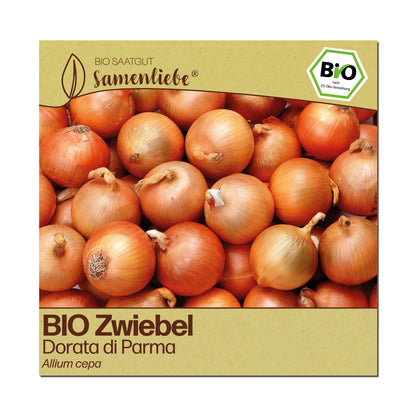 BIO Zwiebel "Dorata di Parma"