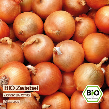 BIO Zwiebel "Dorata di Parma"