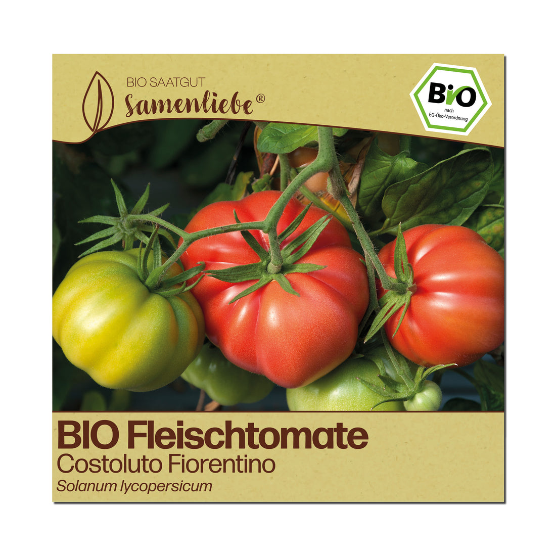 BIO Tomate "Costoluto Fiorentino"