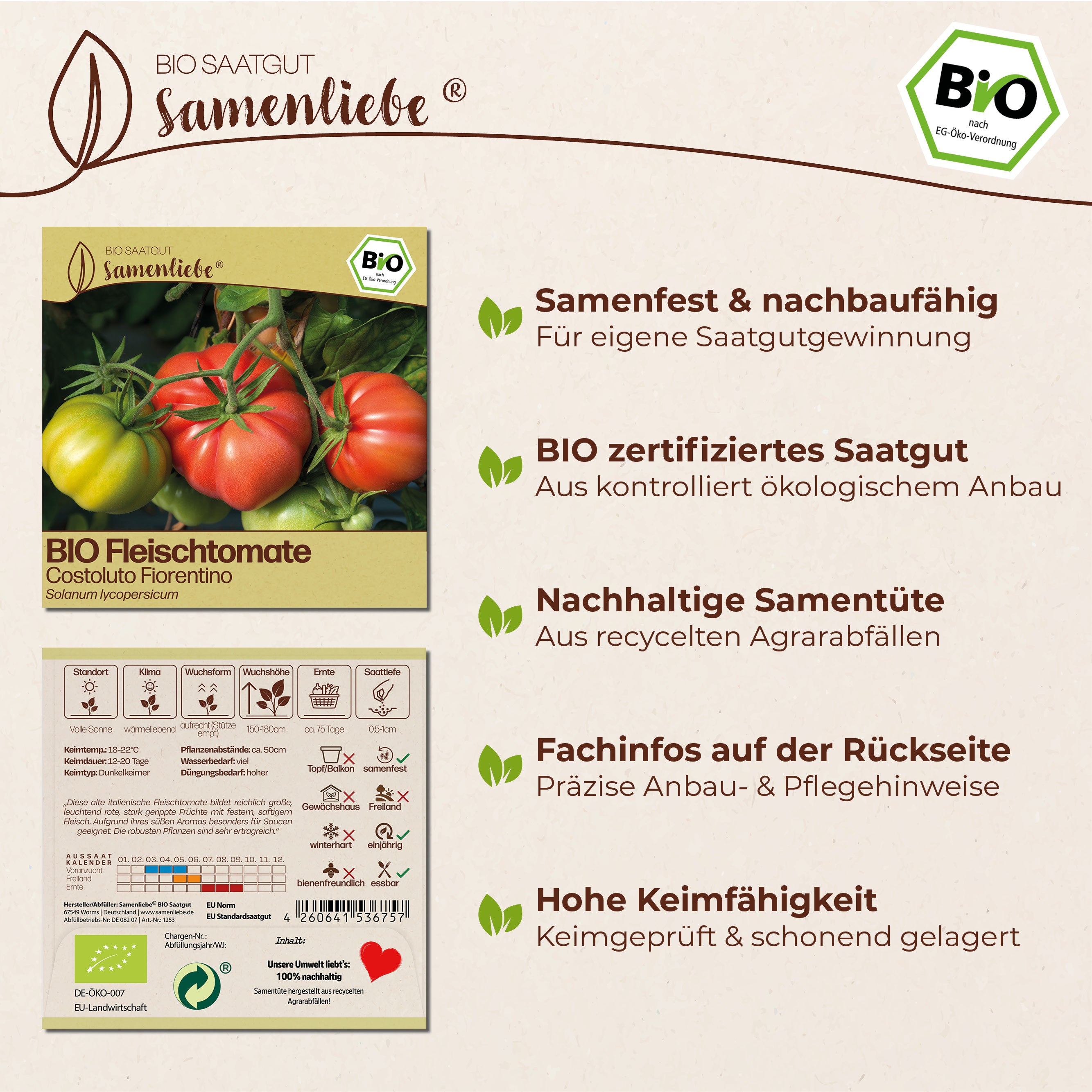 BIO Tomate "Costoluto Fiorentino"