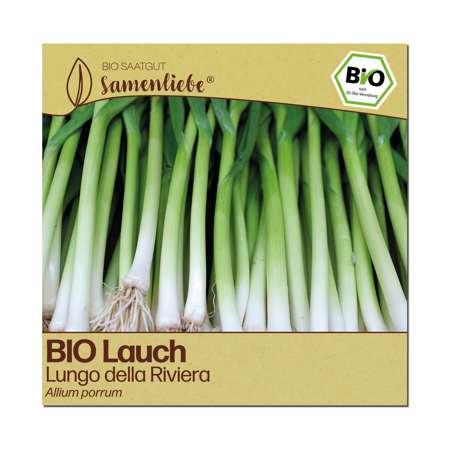 BIO Lauch "Lungo della Riviera"