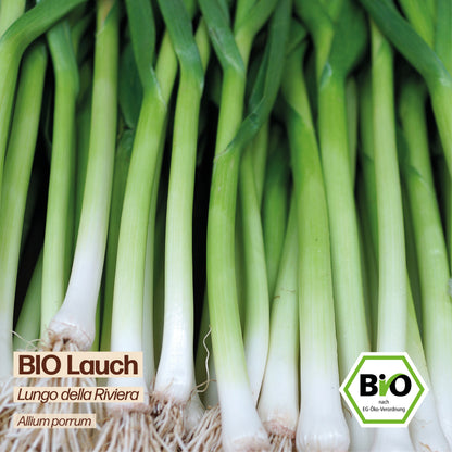 BIO Lauch "Lungo della Riviera"