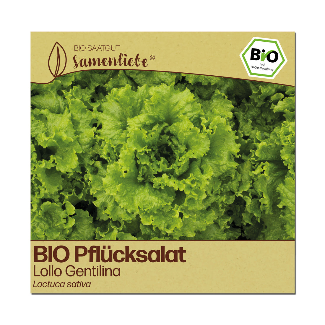 BIO Salat "Lollo Gentilina"