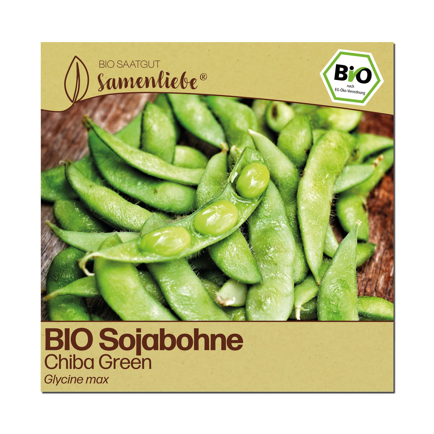 BIO Bohne "Chiba Green"
